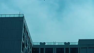 4K实拍飞机商务楼顶飞过.mov视频的预览图